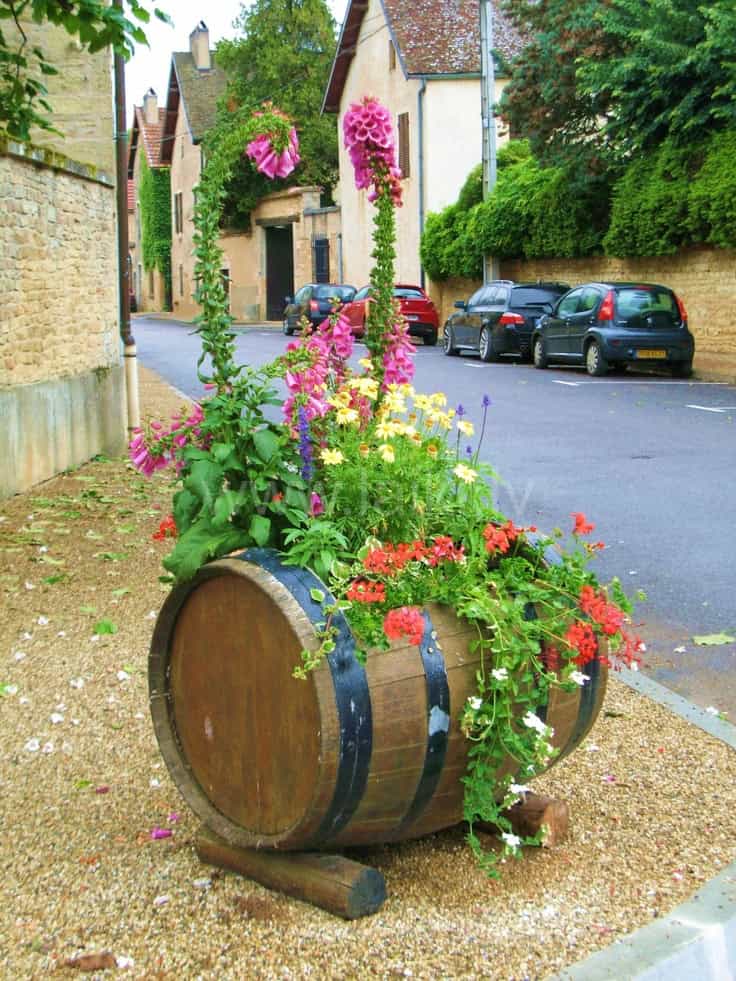 15 Impressive DIY Wine Barrel Planters That You Can Make In No Time 15 Impressive DIY Wine Barrel Planters That You Can Make In No Time