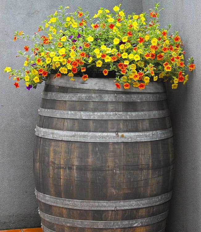 15 Impressive DIY Wine Barrel Planters That You Can Make In No Time 15 Impressive DIY Wine Barrel Planters That You Can Make In No Time