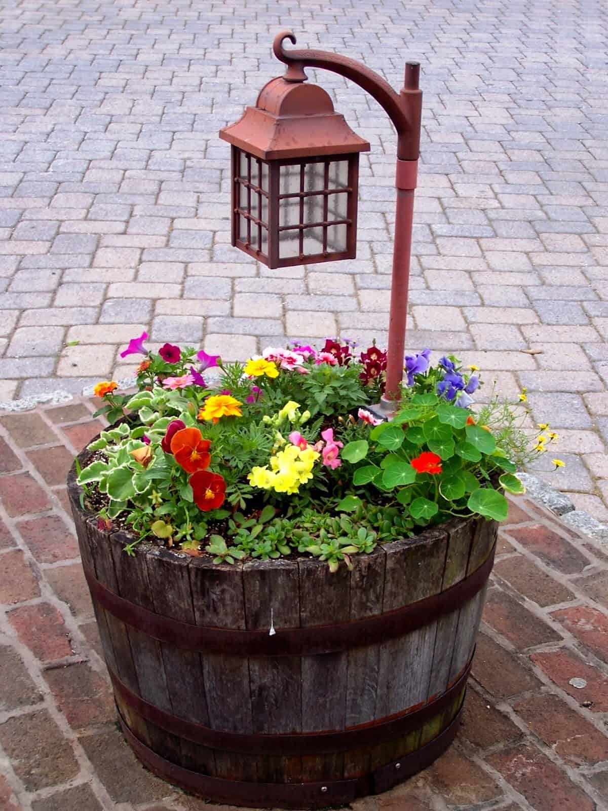 15 Impressive DIY Wine Barrel Planters That You Can Make In No Time 15 Impressive DIY Wine Barrel Planters That You Can Make In No Time