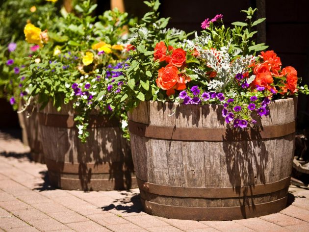 15 Impressive DIY Wine Barrel Planters That You Can Make In No Time