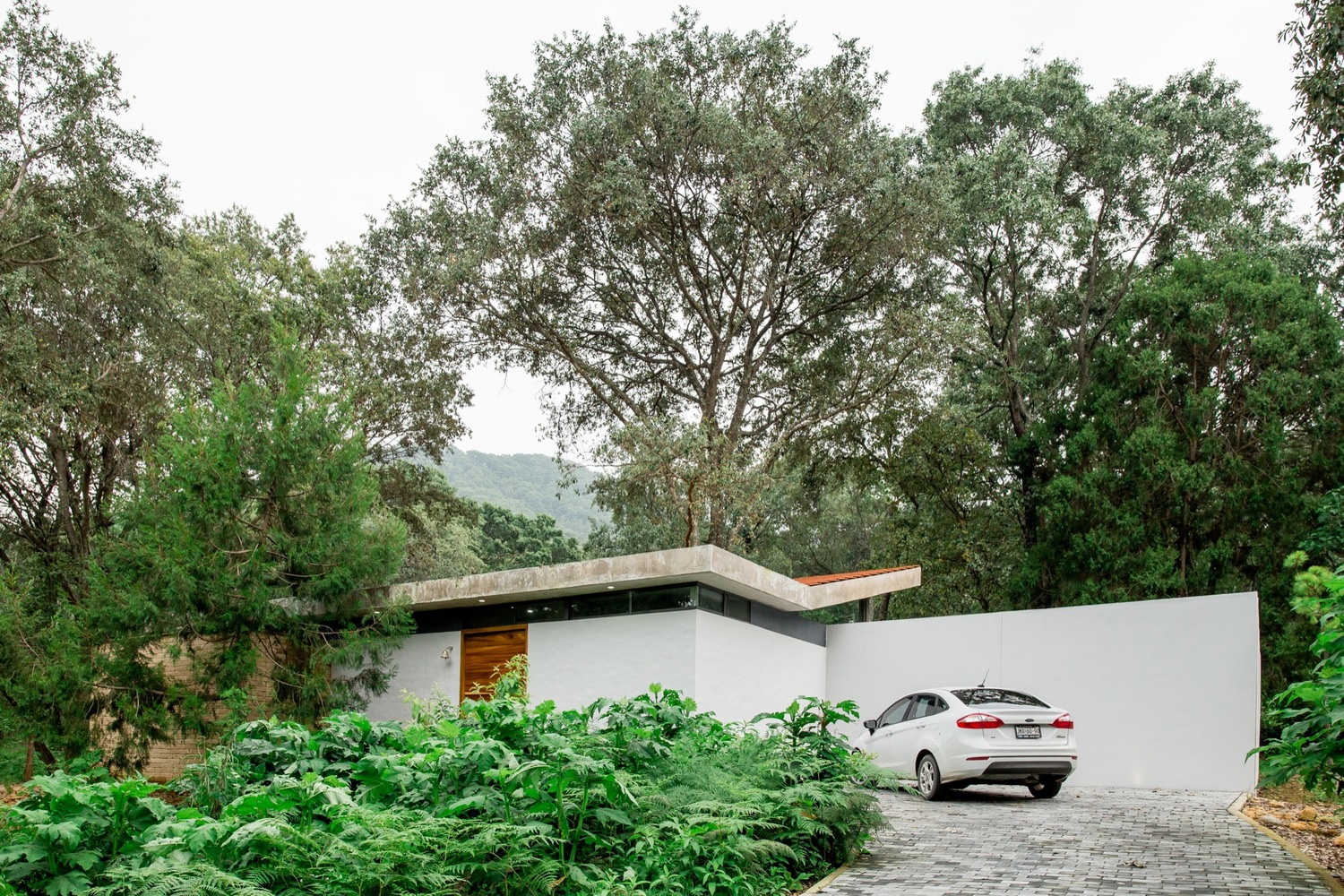 Modern minimalist house with sleek white exterior, flat roof, and large windows nestled among lush green trees in a serene natural setting.