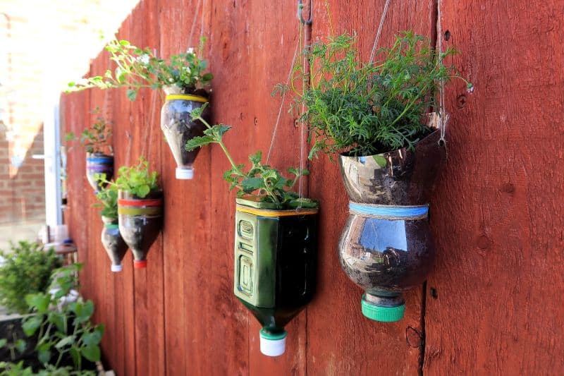 15 DIY Plastic Bottle Planters That You Haven't Seen Before 15 DIY Plastic Bottle Planters That You Haven't Seen Before