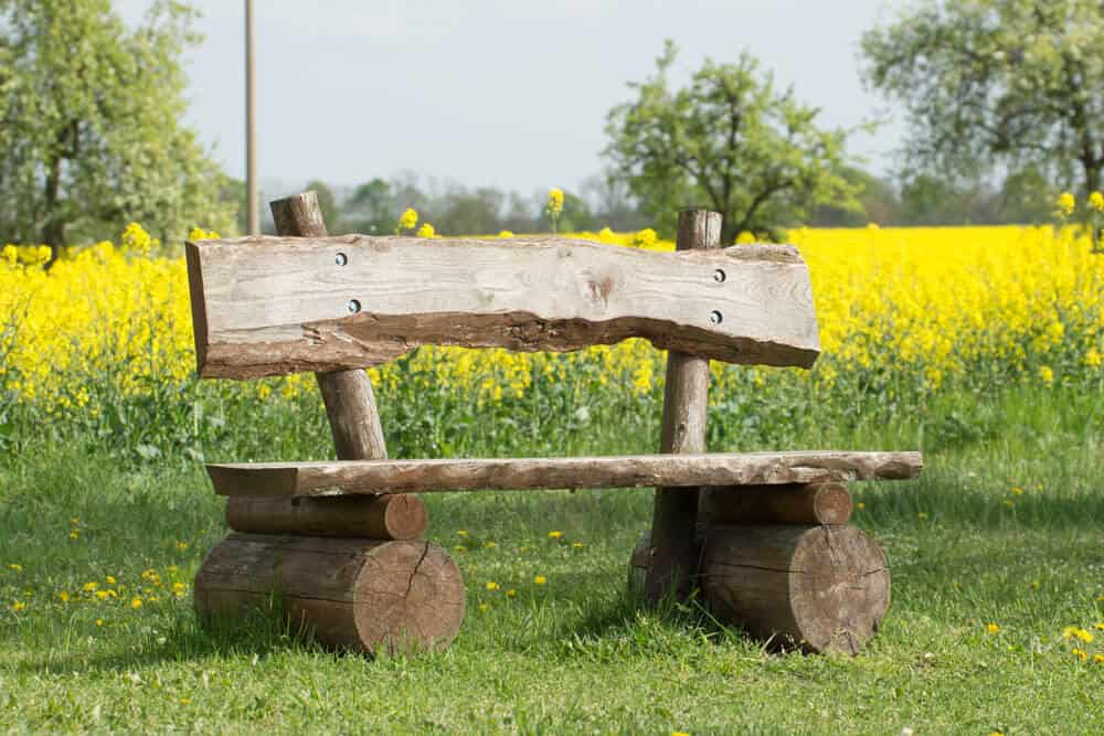 18 Fascinating Ideas To Choose Your Ideal Garden Bench 18 Fascinating Ideas To Choose Your Ideal Garden Bench