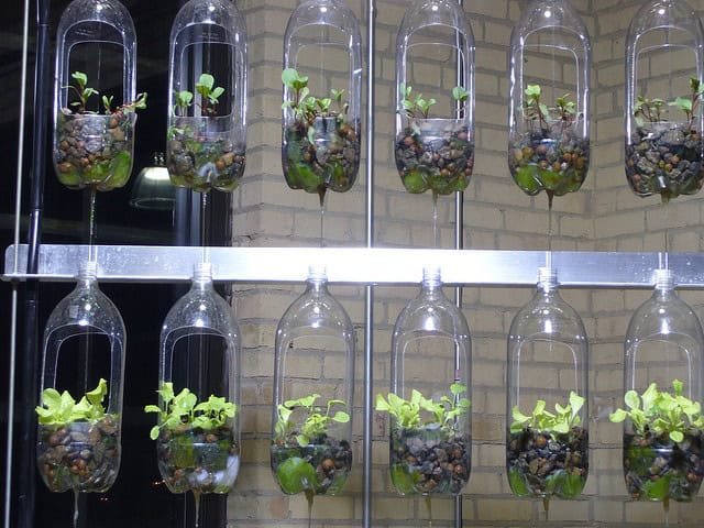 15 DIY Plastic Bottle Planters That You Haven't Seen Before 15 DIY Plastic Bottle Planters That You Haven't Seen Before