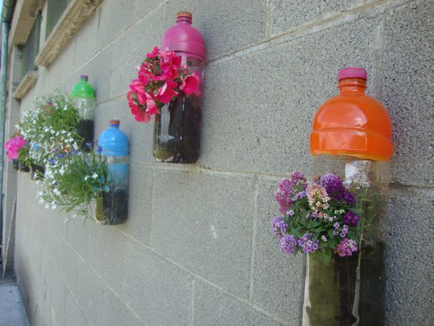 15 DIY Plastic Bottle Planters That You Haven't Seen Before