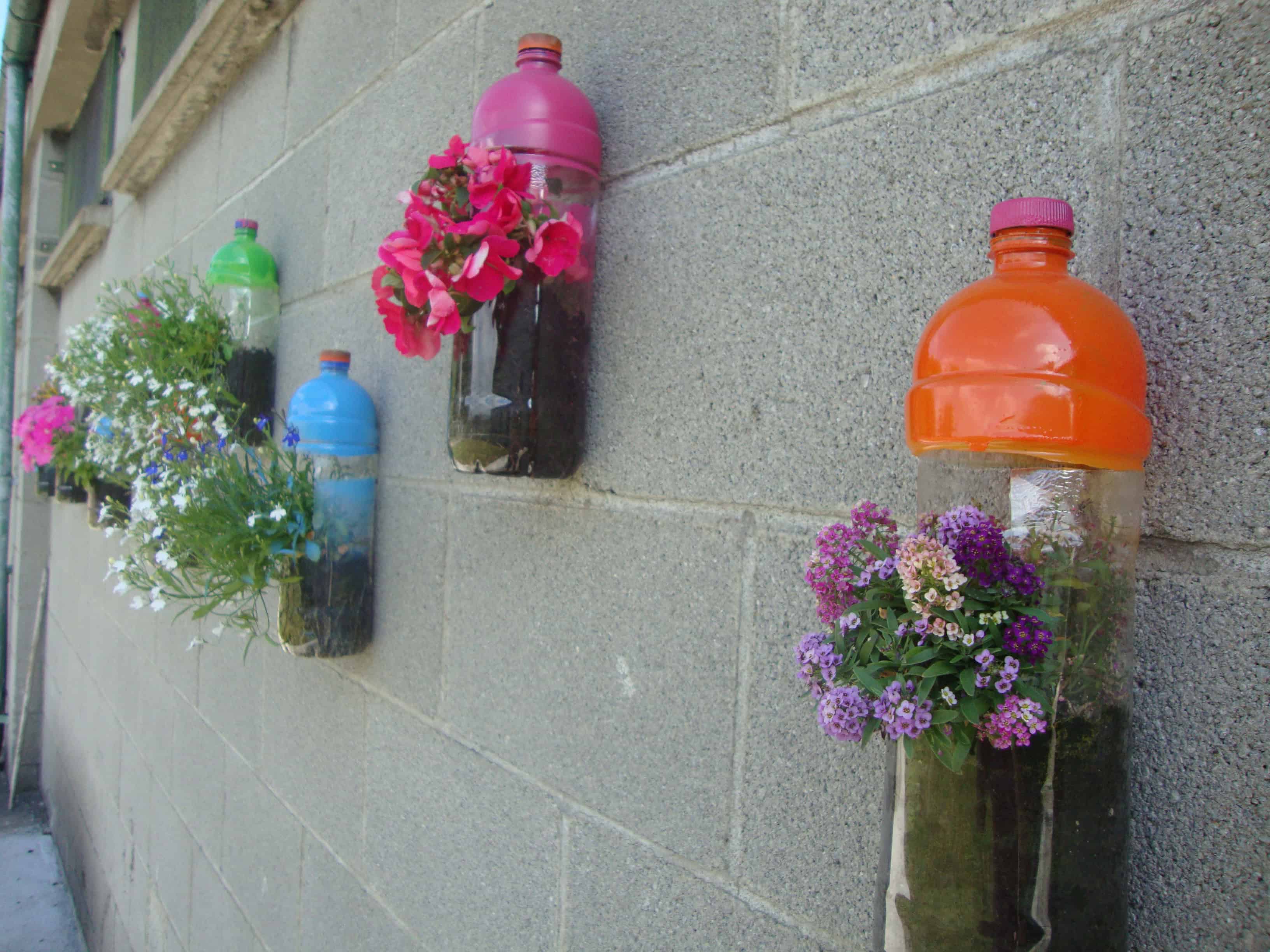 15 DIY Plastic Bottle Planters That You Haven't Seen Before 15 DIY Plastic Bottle Planters That You Haven't Seen Before