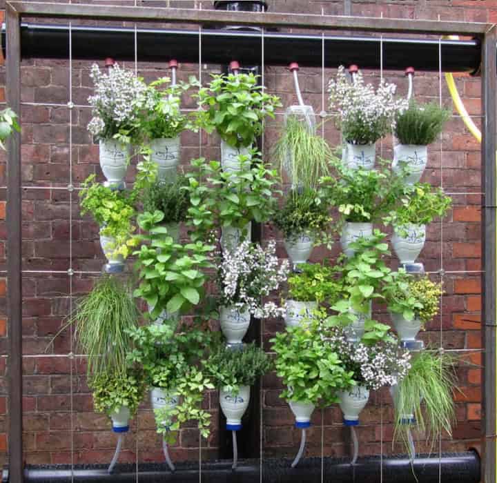 15 DIY Plastic Bottle Planters That You Haven't Seen Before 15 DIY Plastic Bottle Planters That You Haven't Seen Before