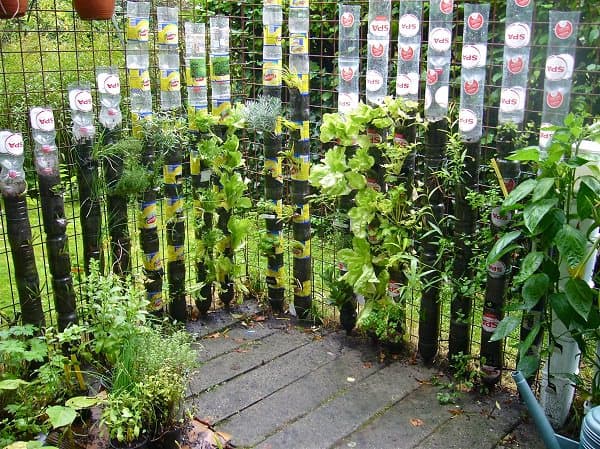 15 DIY Plastic Bottle Planters That You Haven't Seen Before 15 DIY Plastic Bottle Planters That You Haven't Seen Before