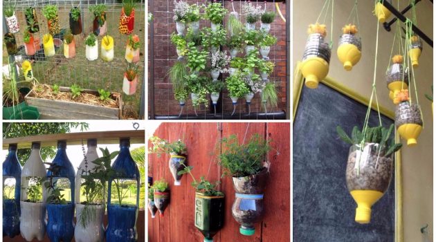 15 DIY Plastic Bottle Planters That You Haven’t Seen Before