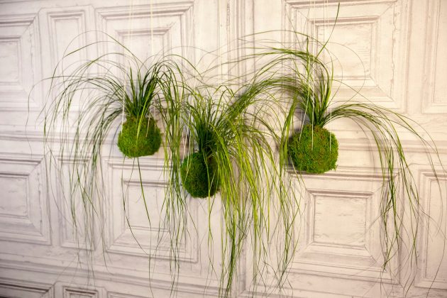 15 Spectacular Moss Wall Art Designs That Redefine The Living Wall Concept