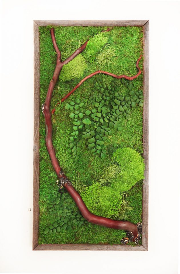 15 Spectacular Moss Wall Art Designs That Redefine The Living Wall Concept