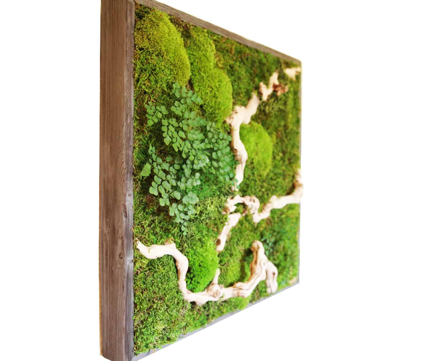 15 Spectacular Moss Wall Art Designs That Redefine The Living Wall Concept