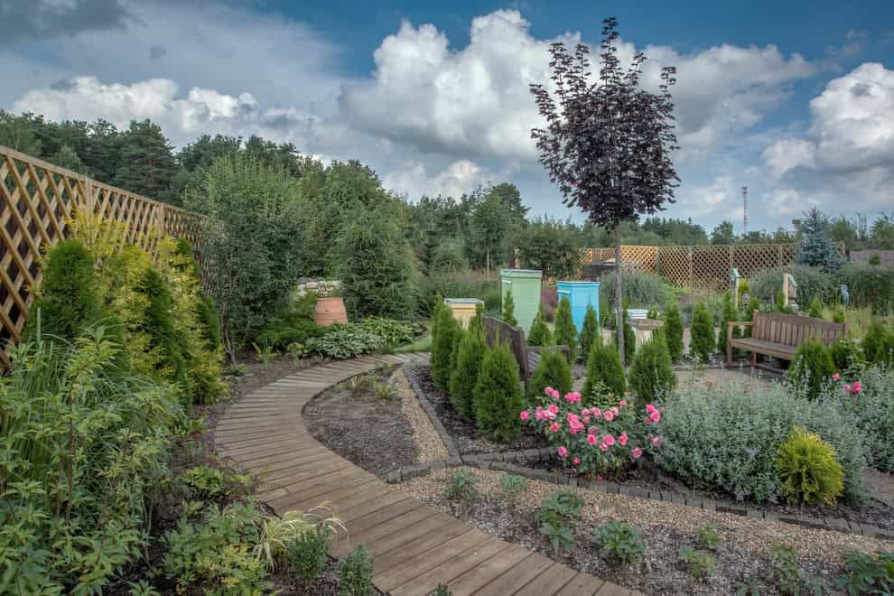 Lush Greenery Lush Greenery