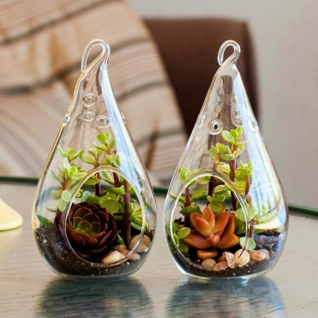 18 Captivating DIY Miniature Gardens To Beautify Your Home