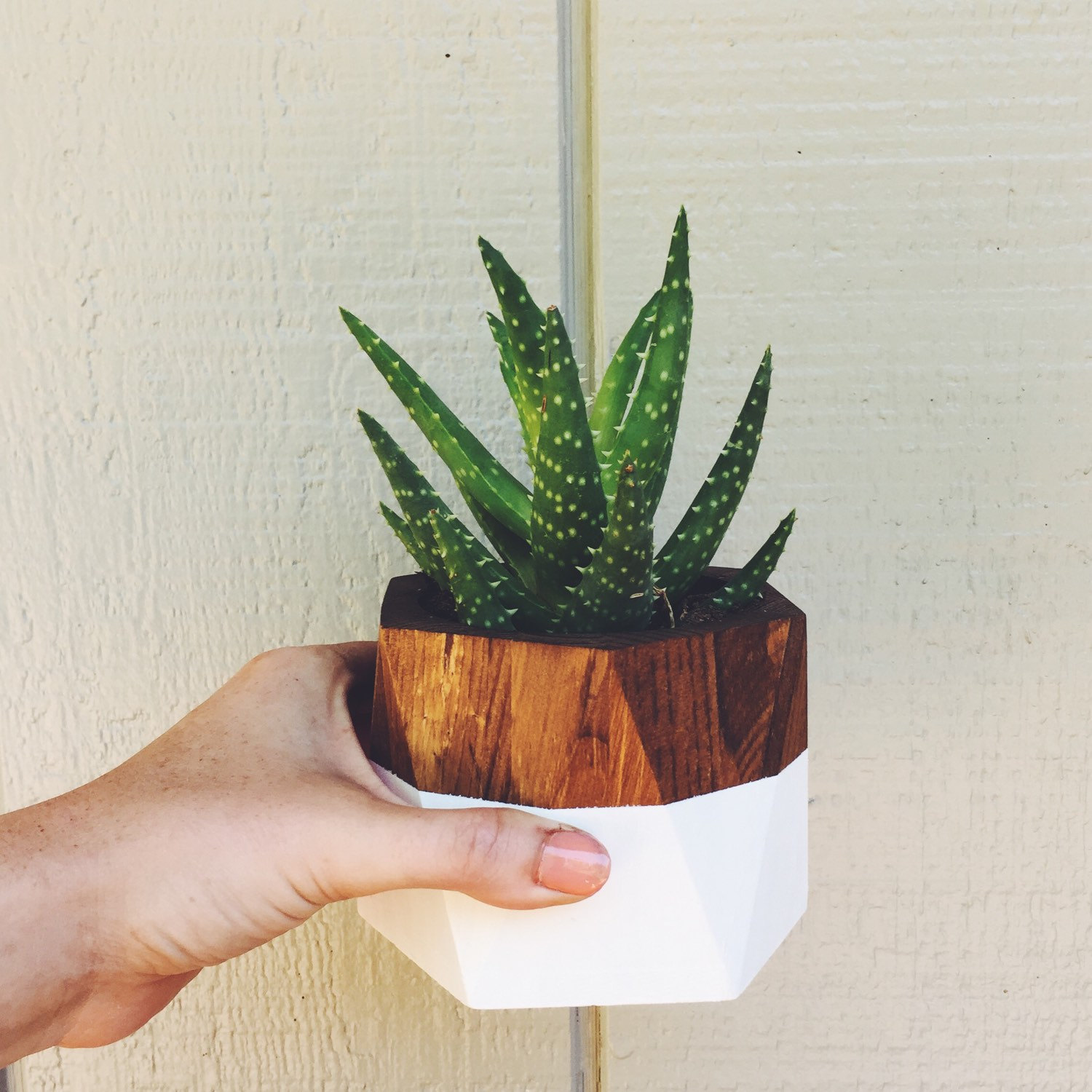 15 Cute Handmade Planter Designs That Will Freshen Up Your Decor