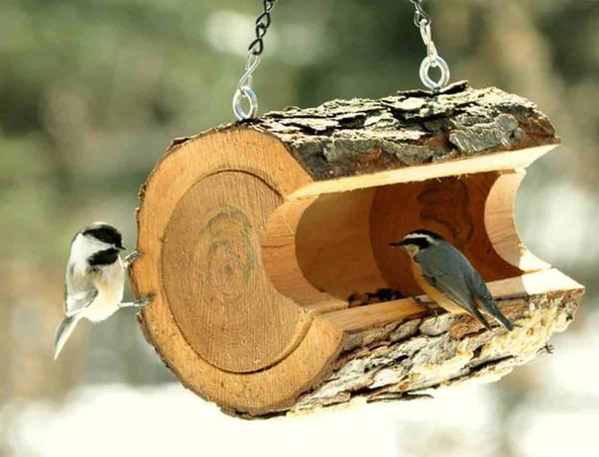 18 Outstanding Tree Stump Decorations To Add Rustic Touch In The Home 18 Outstanding Tree Stump Decorations To Add Rustic Touch In The Home