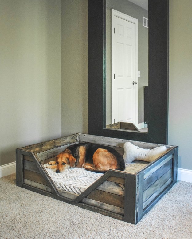 15 Ingenious DIY Dog Bed Designs That You Can Craft For Your Beloved Furball