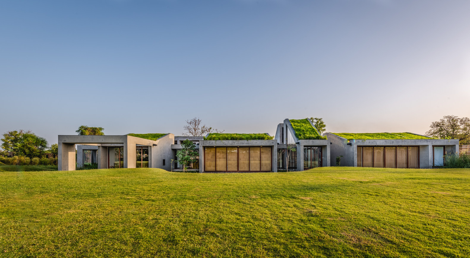 Contemporary modern house with sustainable green roofs, blending innovative architecture with eco-friendly design, surrounded by lush grass and trees.