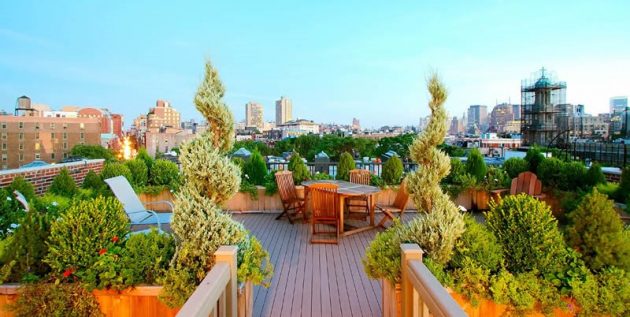 Yard Pests and Landscaping: What can You do?