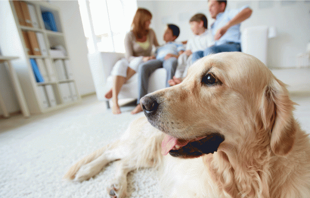 Understanding The Enormous Importance Of Your HVAC Unit And Air Quality