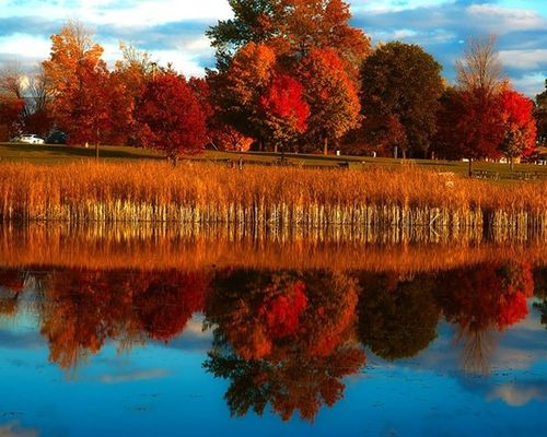 Welcome Fall With 8 Picturesque Scenes of the Beautiful Season