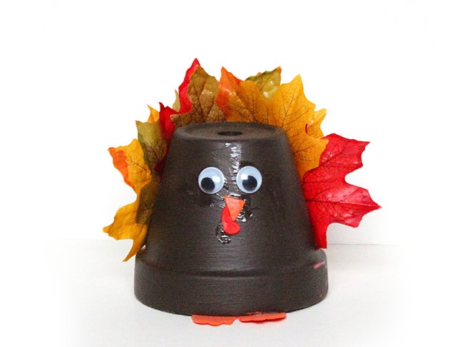 11. Flowerpot Turkey 11. Flowerpot Turkey