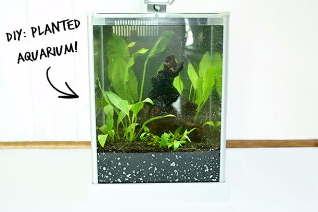 15 Awesome DIY Aquarium Ideas That Are Full Of Creativity
