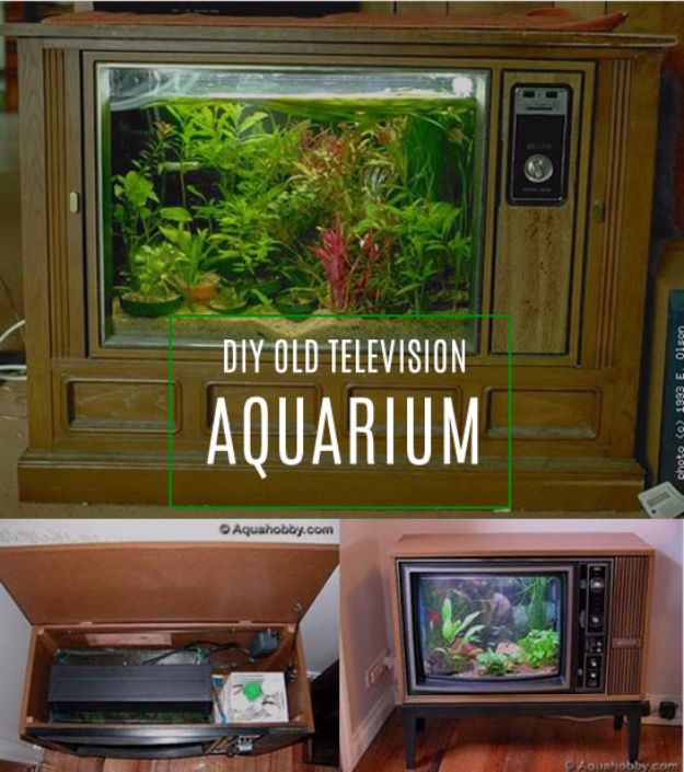 15 Awesome DIY Aquarium Ideas That Are Full Of Creativity