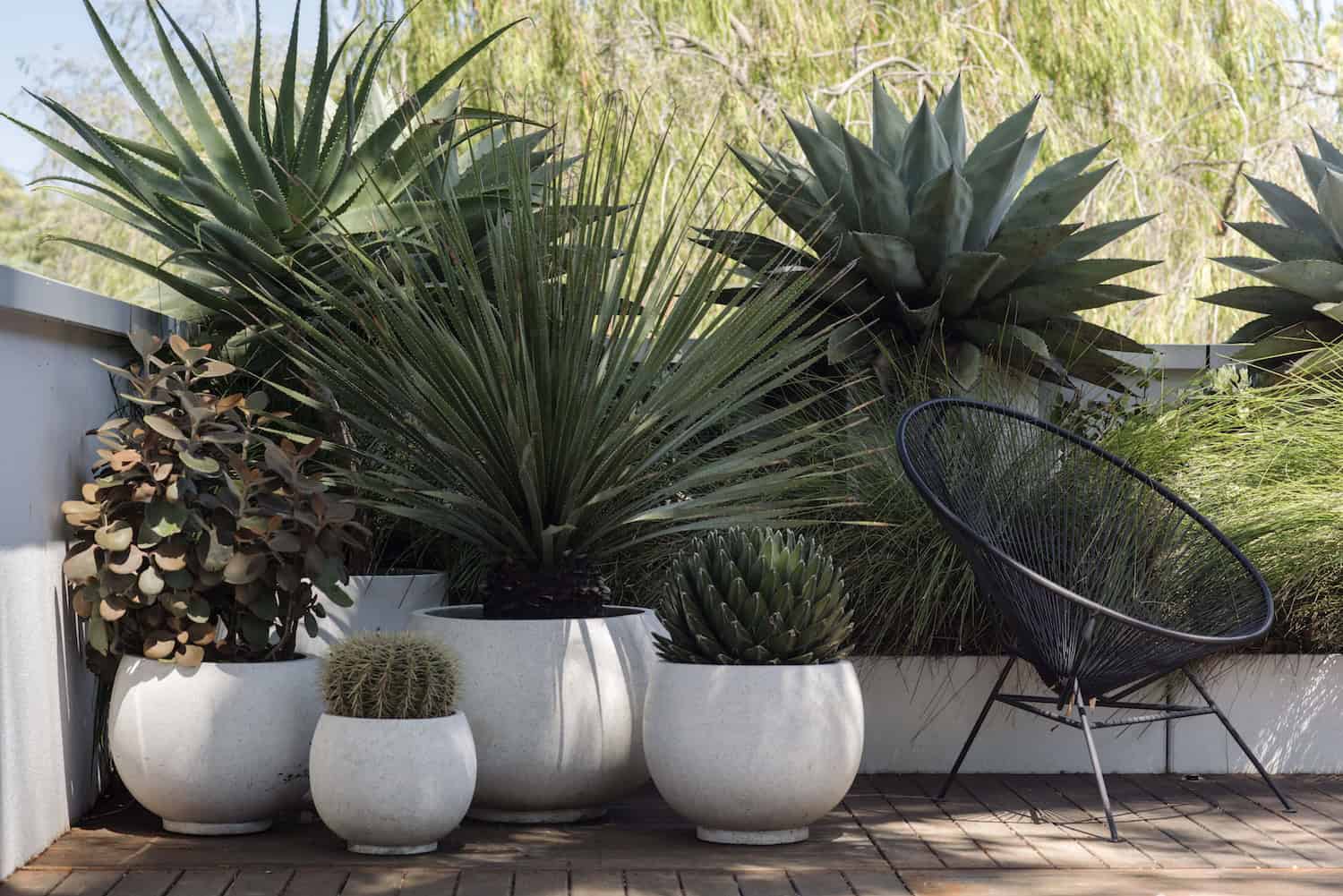 17 Little More Different Planters To Adorn Your Living Space 17 Little More Different Planters To Adorn Your Living Space