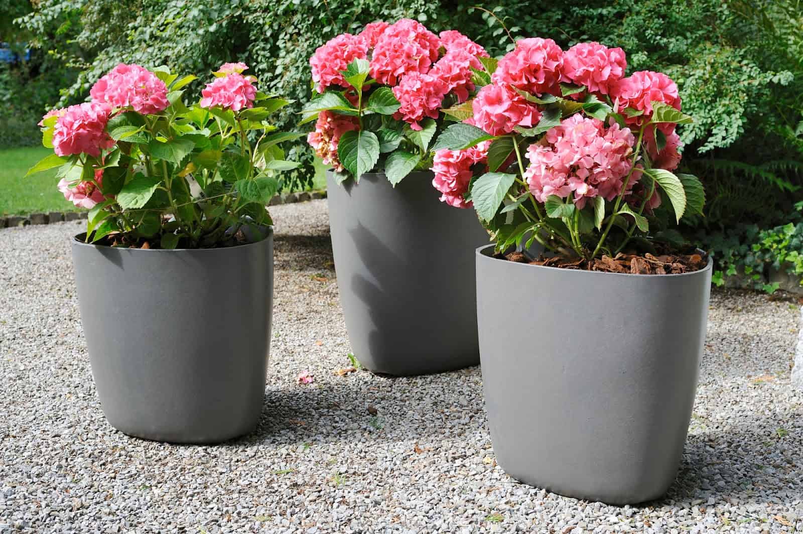 17 Little More Different Planters To Adorn Your Living Space 17 Little More Different Planters To Adorn Your Living Space