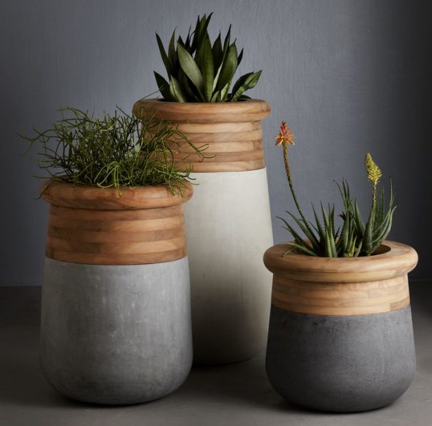 17 Little More Different Planters To Adorn Your Living Space