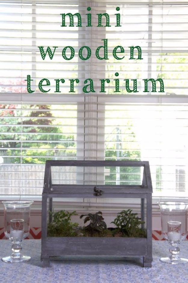 15 Awesome DIY Terrarium Ideas You Should Craft