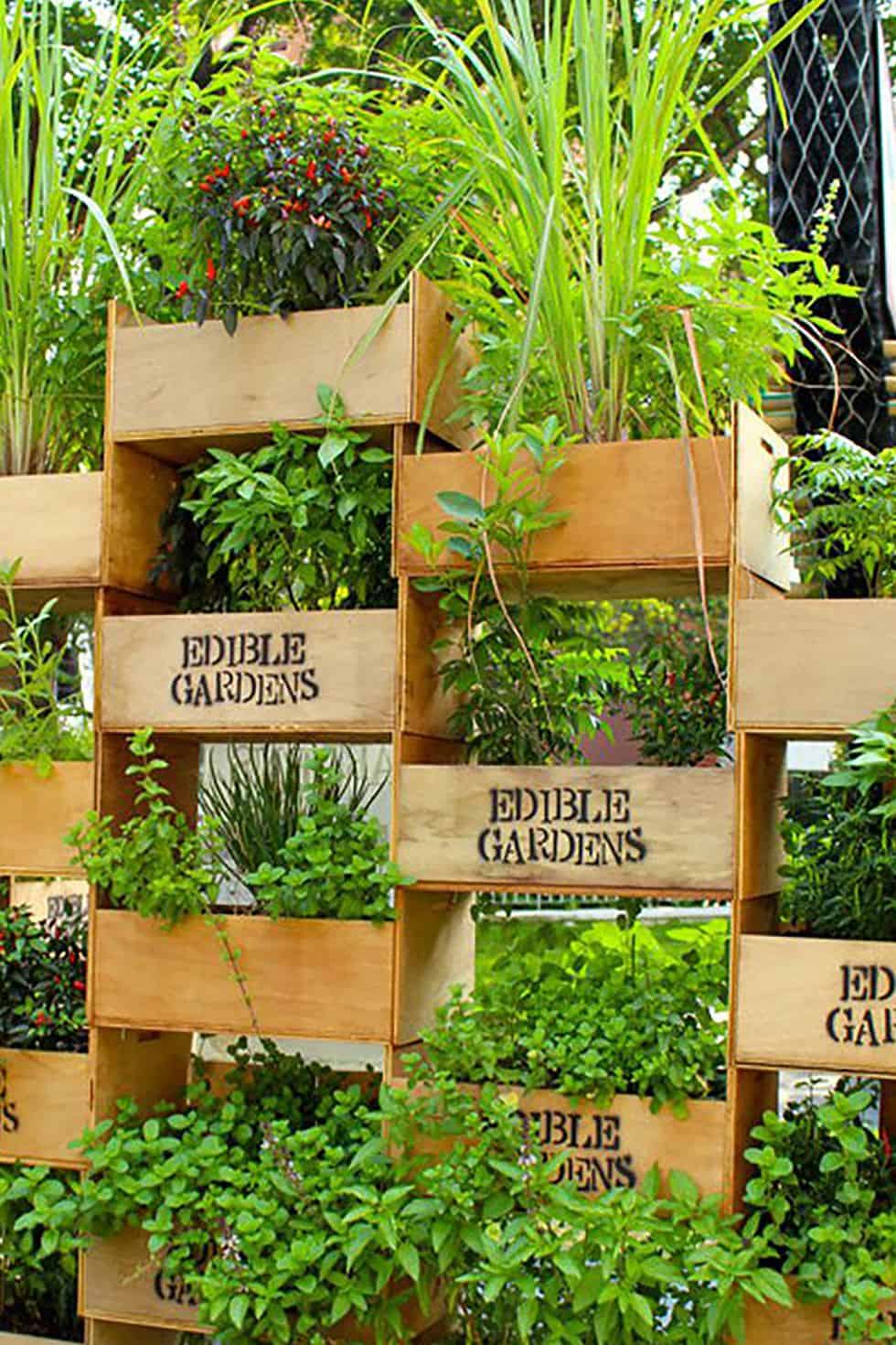 22 Awesome DIY Vertical Garden Ideas That Will Refresh Your Garden on Vertical Landscape Design
 id=54431