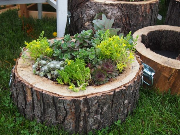 21 Super Easy Wood Log Garden Decorations That You Can Do For Free