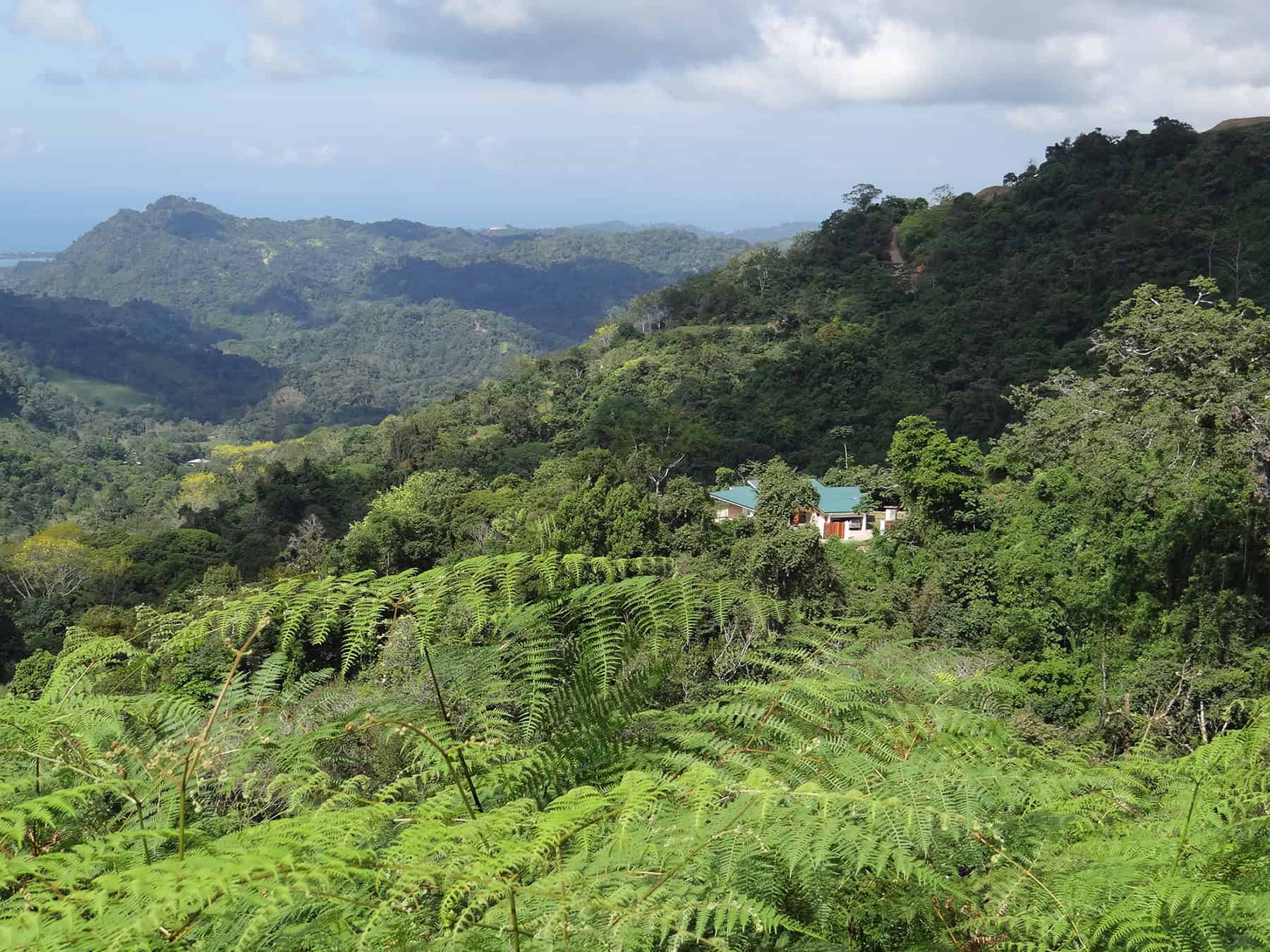 Hamann House by INTRIBE Architects in Puntarenas, Costa Rica Hamann House by INTRIBE Architects in Puntarenas, Costa Rica