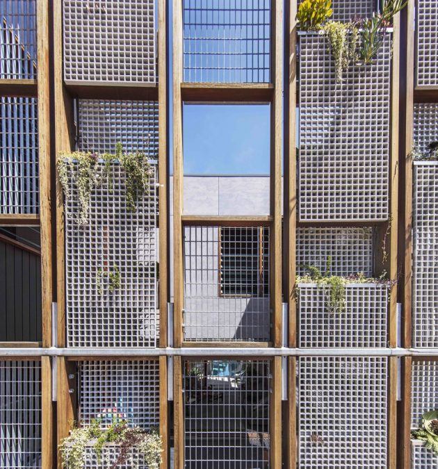 Living Screen House by CplusC Architectural Workshop in North Bondi, Australia