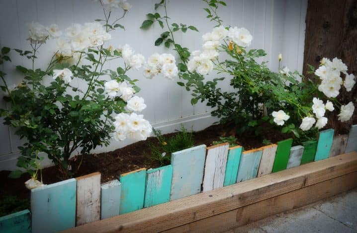 16 Inexpensive DIY Edging Ideas To Garnish Your Garden 16 Inexpensive DIY Edging Ideas To Garnish Your Garden