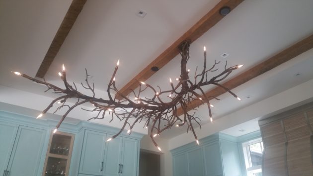 15 Really Fascinating DIY Tree Branch Chandeliers