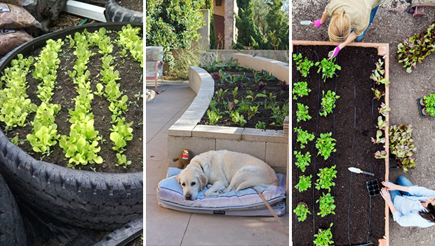 15 Awesome DIY Garden Bed Ideas Suitable For Any Backyard