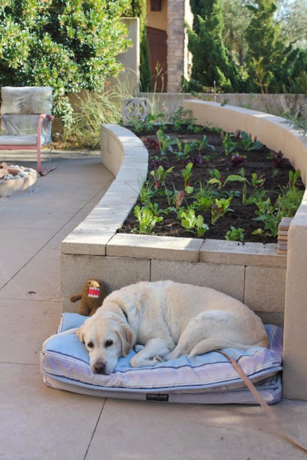 15 Awesome DIY Garden Bed Ideas Suitable For Any Backyard