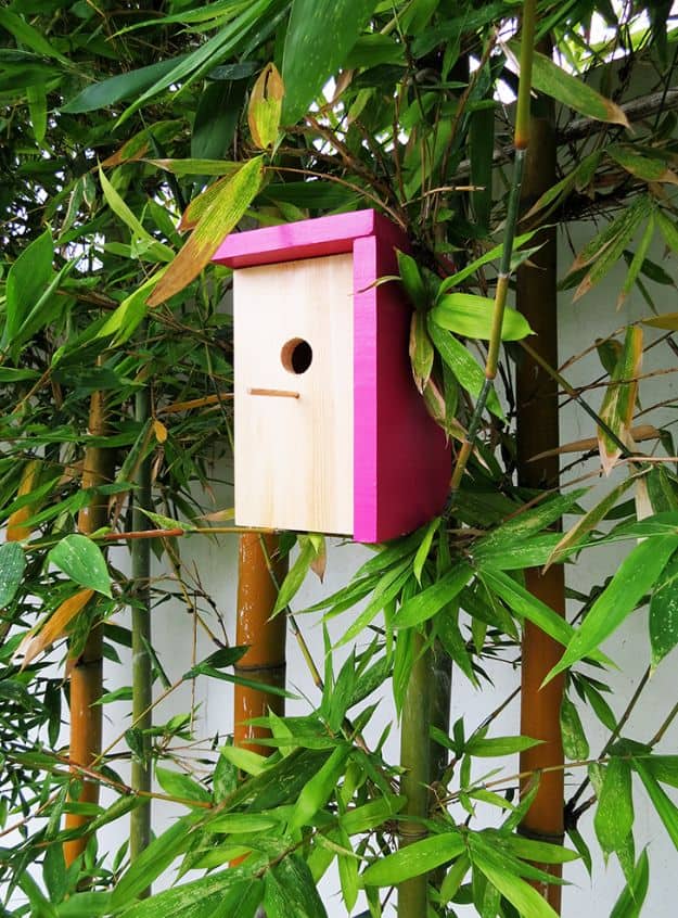 15 Charming DIY Bird House Ideas For Your Backyard