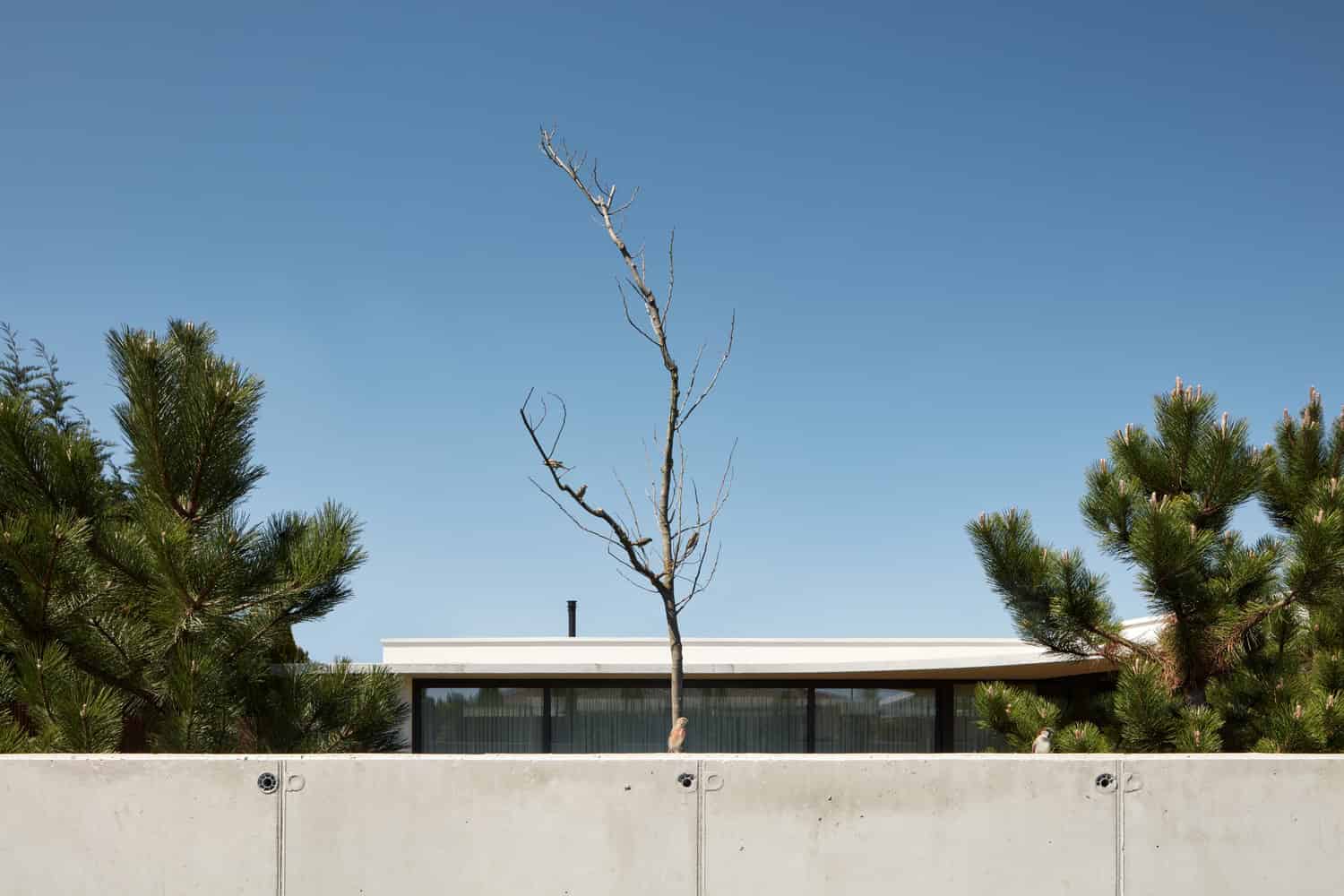 Family House Jarovce by Compass Architekti in Bratislava, Slovenia