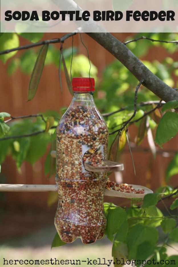 15 Fantastic DIY Bird Feeder Ideas That Will Bring Life To Your Garden