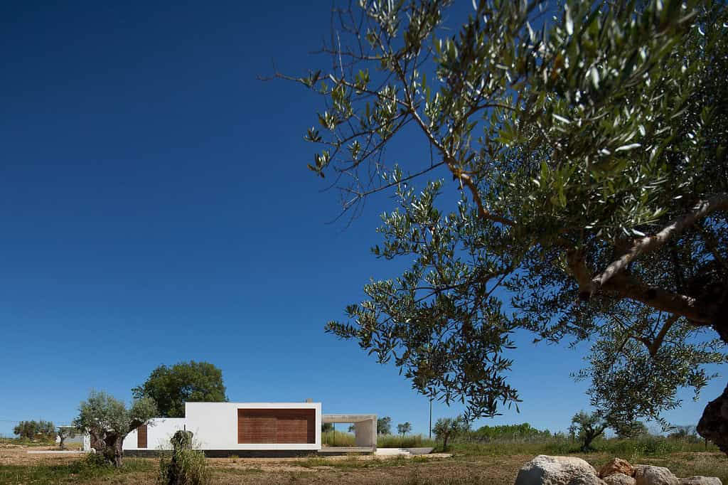 Ring House by Vasco Cabral + Sofia Saraiva in Santarem, Portugal