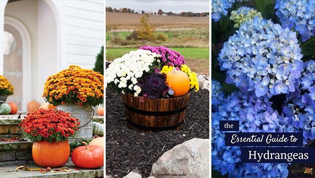 15 Useful DIY Gardening Ideas You Can Use During Fall