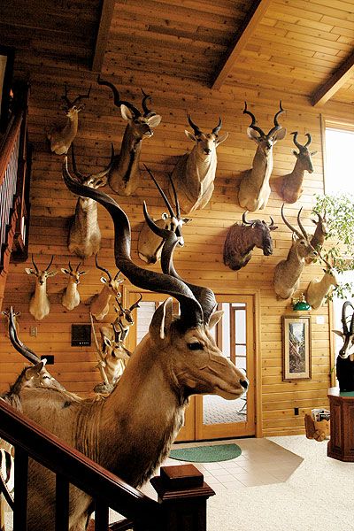 Decorate Your Home Hunting Style, Hunting Living Room Decor