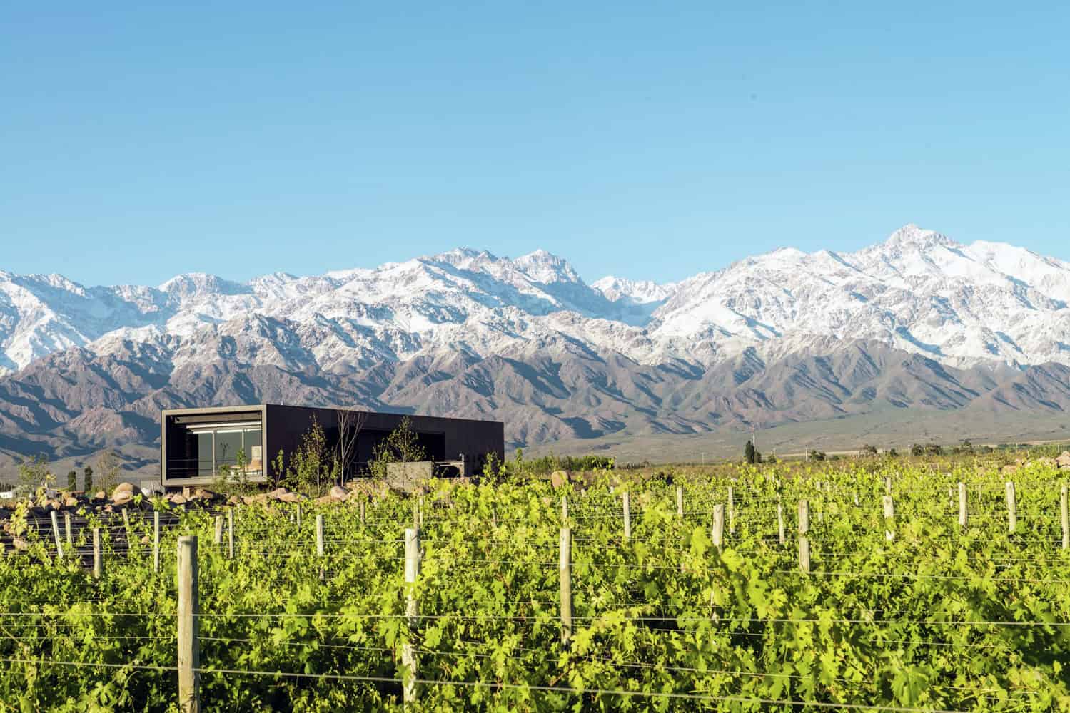 Evans House by A4ESTUDIO: Framing the Andes from Above the Vineyards Evans House by A4ESTUDIO: Framing the Andes from Above the Vineyards