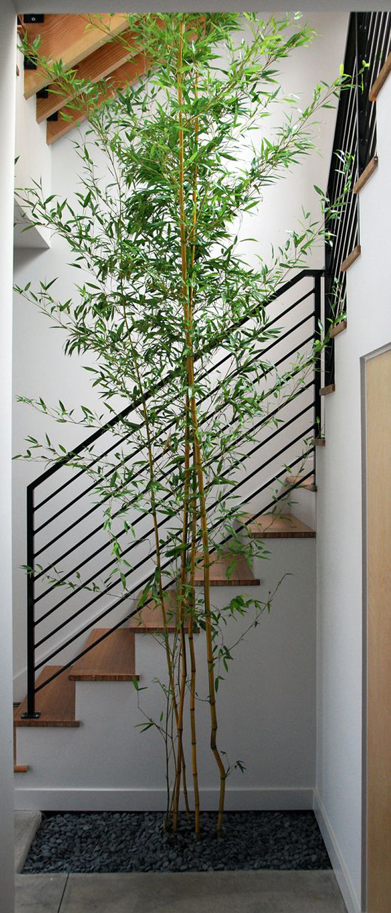 18th Ave City Homes by Malboeuf Bowie Architecture in Seattle, Washington 18th Ave City Homes by Malboeuf Bowie Architecture in Seattle, Washington