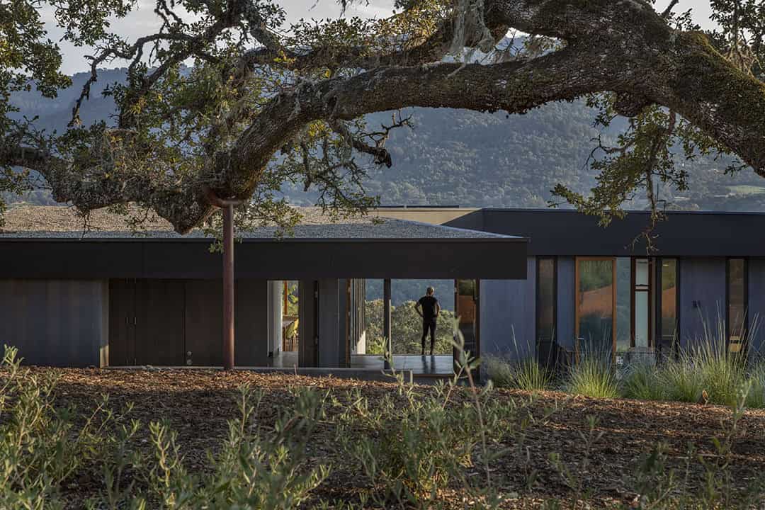 Lichen House by Schwartz and Architecture in Glen Ellen, California