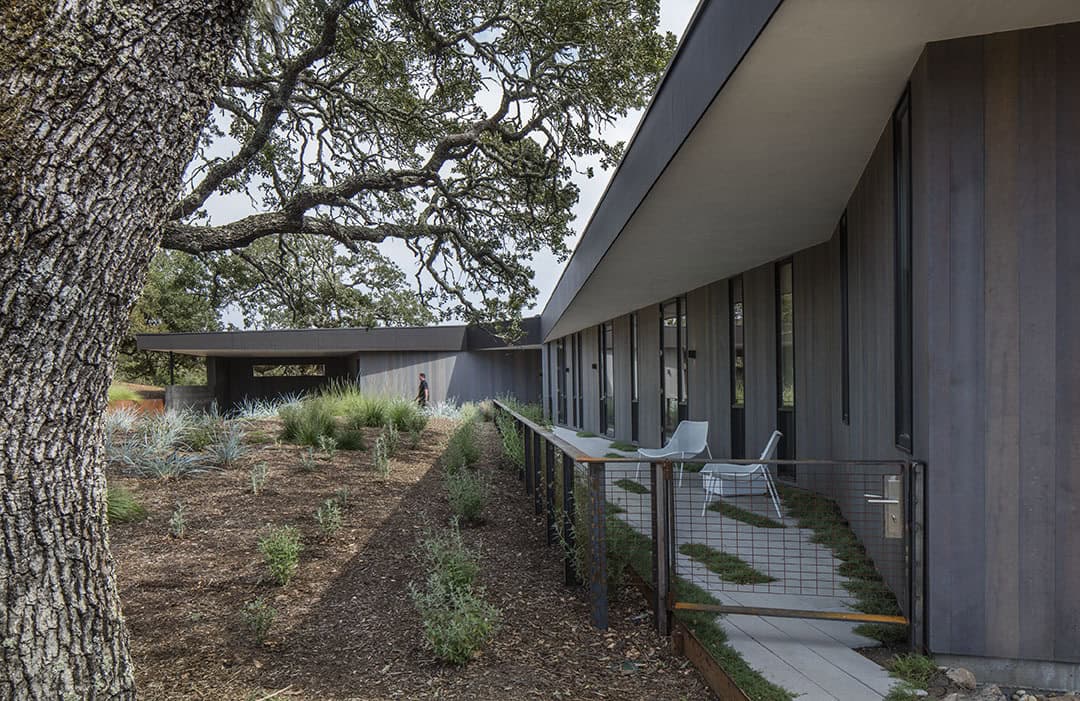 Lichen House by Schwartz and Architecture in Glen Ellen, California